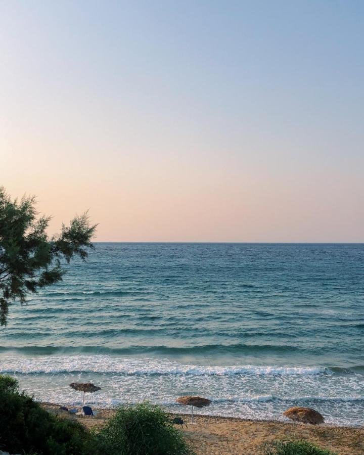 Stamiris Beach Hotel Vasilikos  Exterior photo